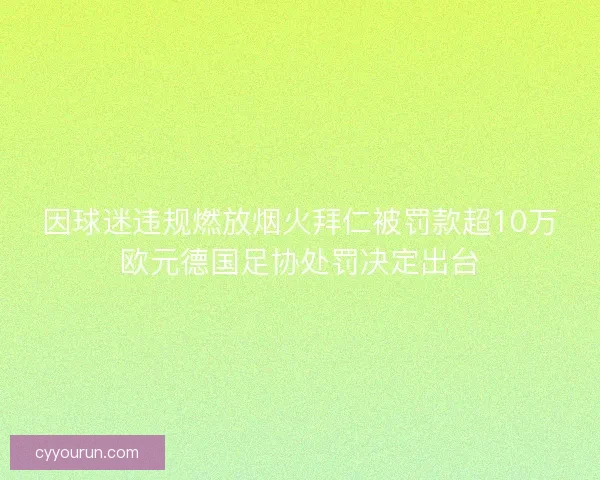因球迷违规燃放烟火拜仁被罚款超10万欧元德国足协处罚决定出台